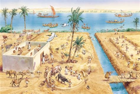  Irrigation in Ancient Egypt: A Study of Water Management and Social Organization - Where Pyramids Rise from Lush Fields